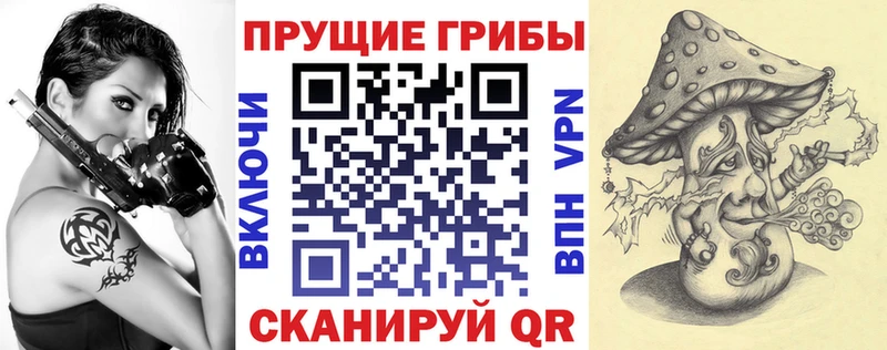 дарнет шоп  Киров  Псилоцибиновые грибы мицелий 